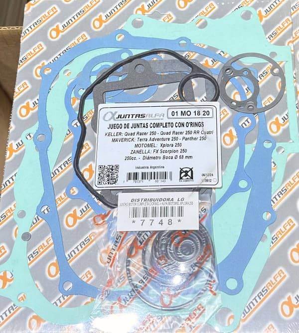 JUNTA MOTOR C/ORING XPLORA 250 - ALFA