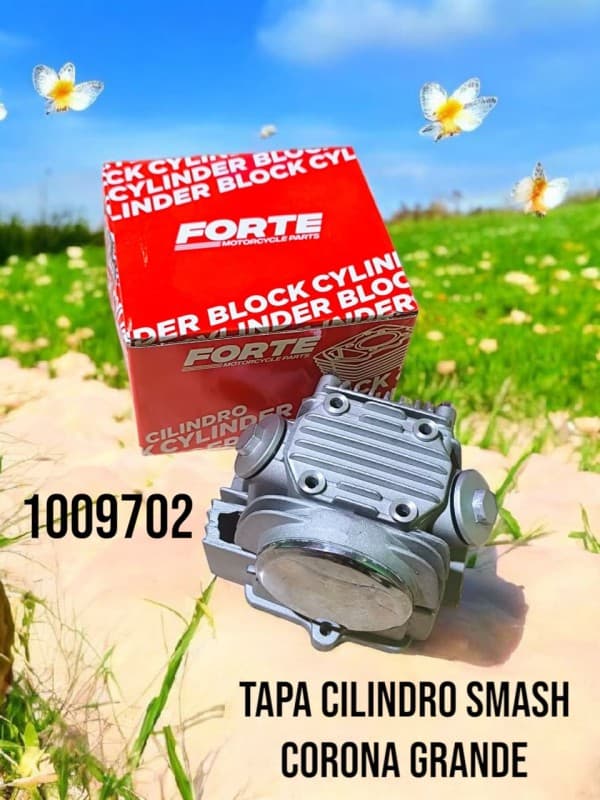 TAPA DE CILINDRO SMASH 110 (CORONA GRNDE) FORTE