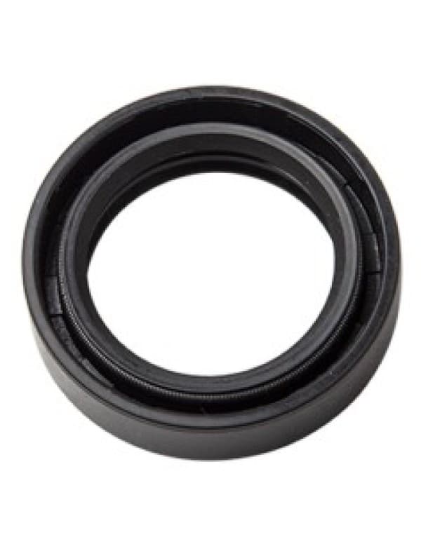 RETEN  SUSPENSION + GUARDAP STORM CG 150 TITAN TOWO