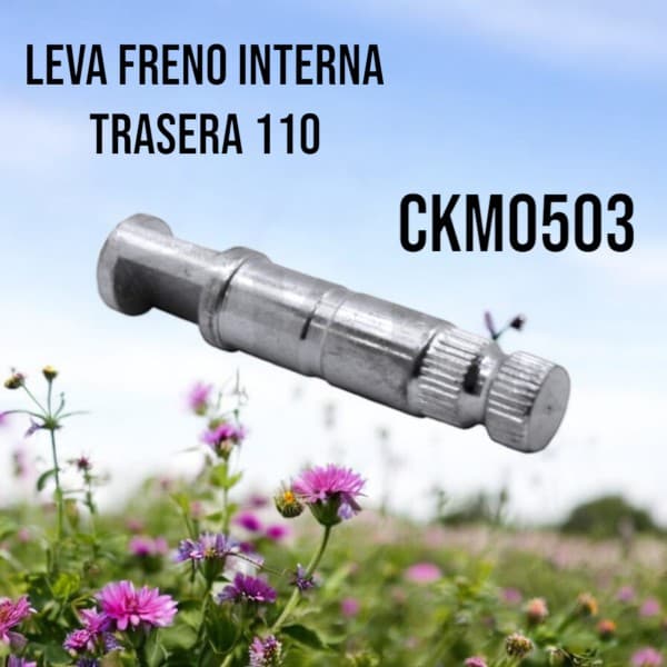 LEVA FRENO INTERNA TRASERA 110 - CKM