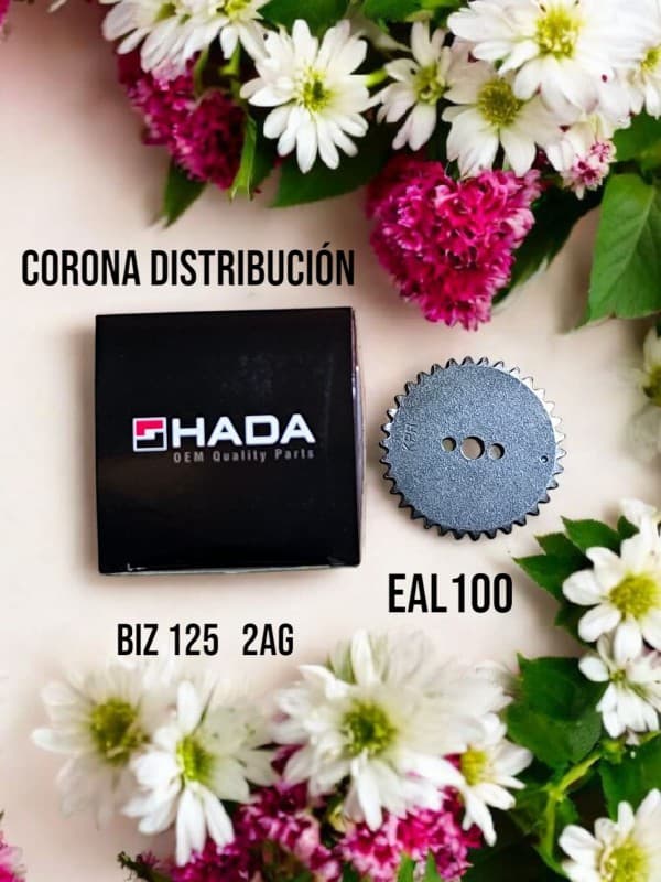 CORONA DISTRIBUCION H.BIZ 125  Z34/2AG. HADA