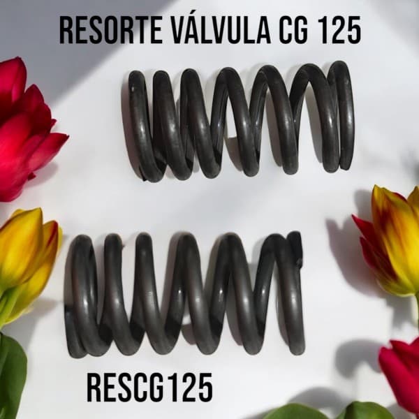 RESORTE VALVULAS CG 125 JGO (2) - HADA