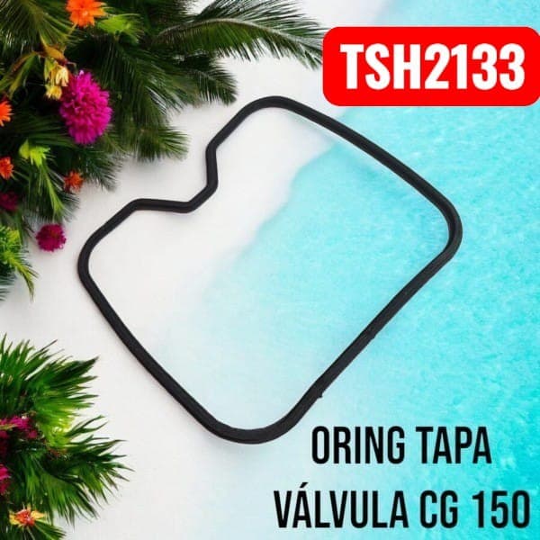ORING JUNTA TAPA VALVULAS TITAN 150 TSH