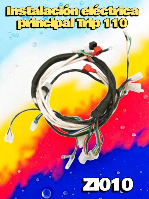 INSTALACION ELECTRICA PRINCIPAL TRIP-NITRO