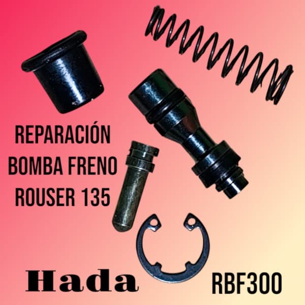 REPARACION BOMBA FRENO Del. - NS 200 HADA