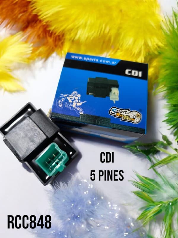 CDI 5 PINES TERMINAL - SPARTA